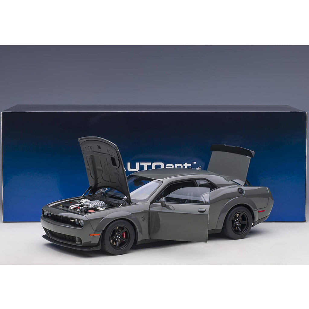 1/18 Gray Model Car F424265