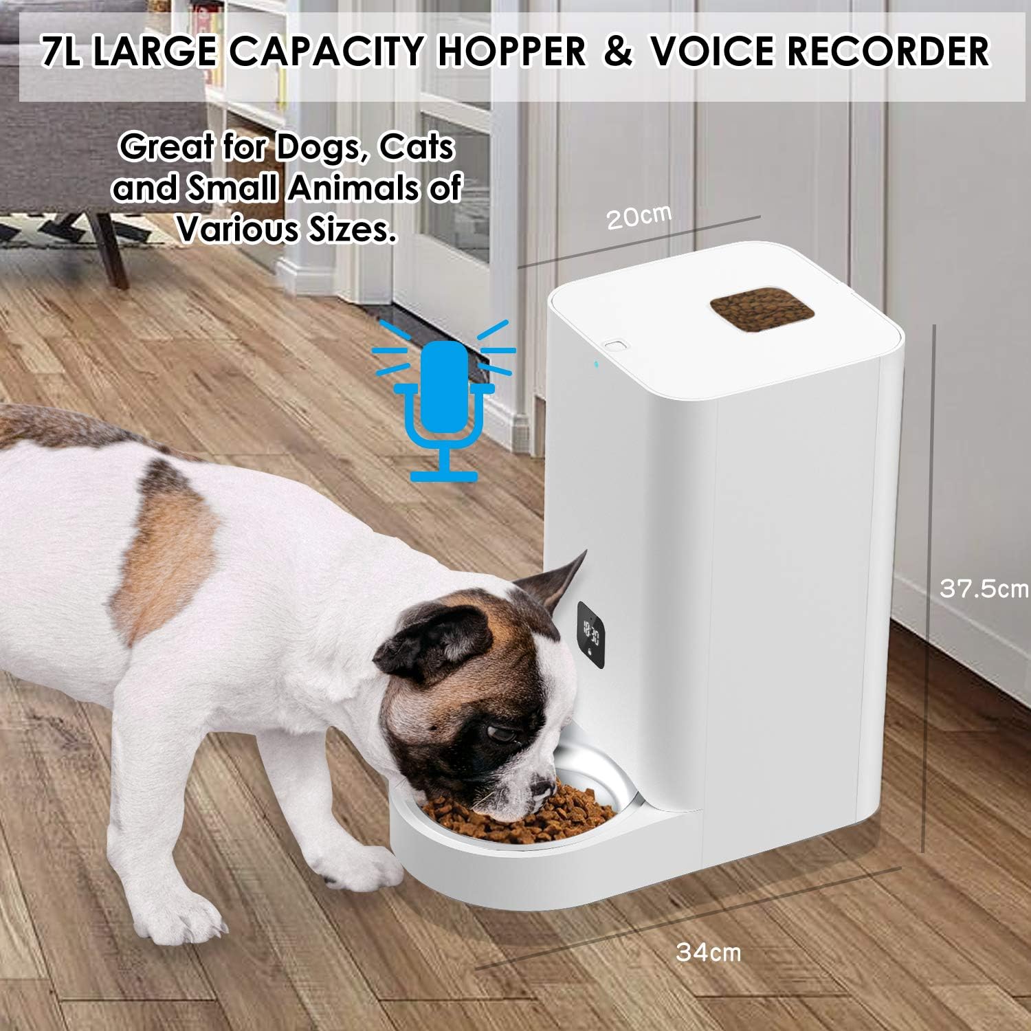 7L Automatic Cat Feeder with Voice Recorder, Pack of 2 H8885
