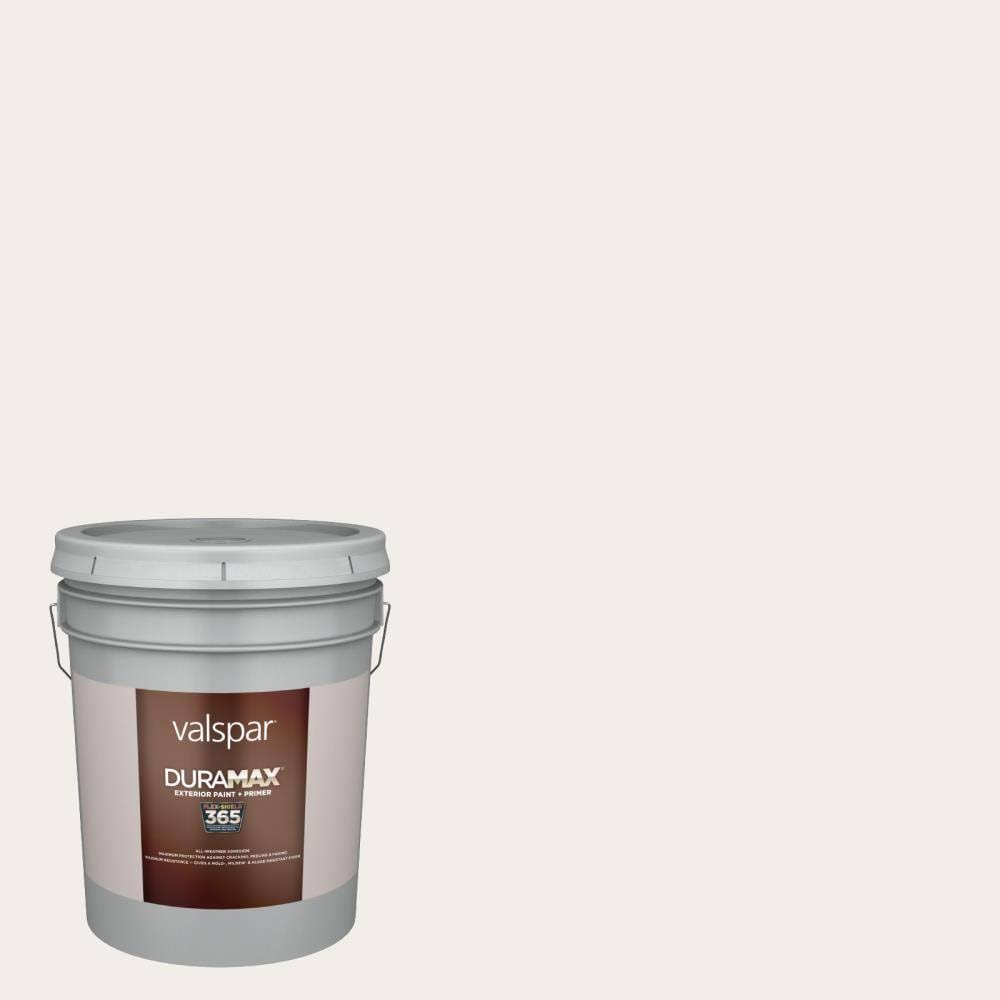 Satin Exterior Paint (5-Gallon) C120465