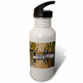 21 oz Sports Water Bottle Y2679