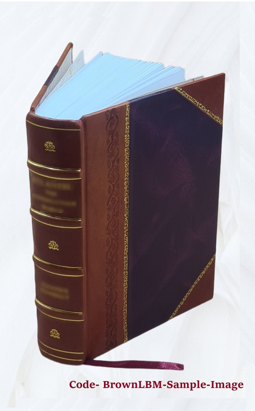 Leather Bound Book P917551