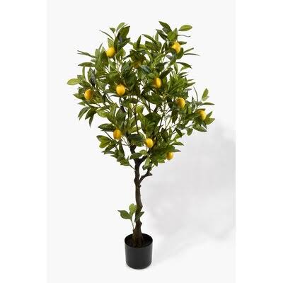 Tree in Pot D88768