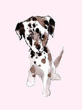 Canvas Art O80605
