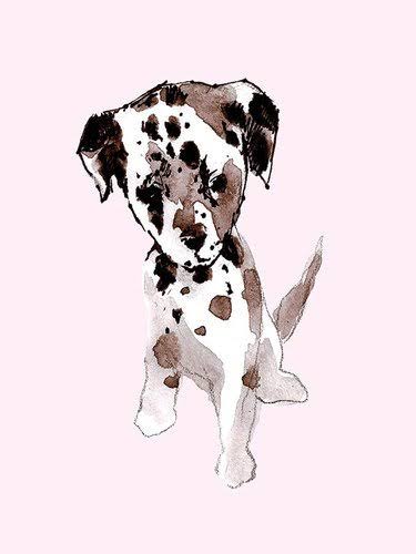 Canvas Art O80605