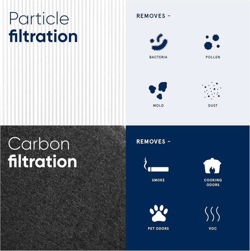 Particle and Activated Carbon Replacement Filter Pack of 2 P3402