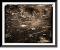 Framed Print, 17-7/8" x 21-7/8" L96881