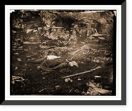 Framed Print, 17-7/8" x 21-7/8" L96881