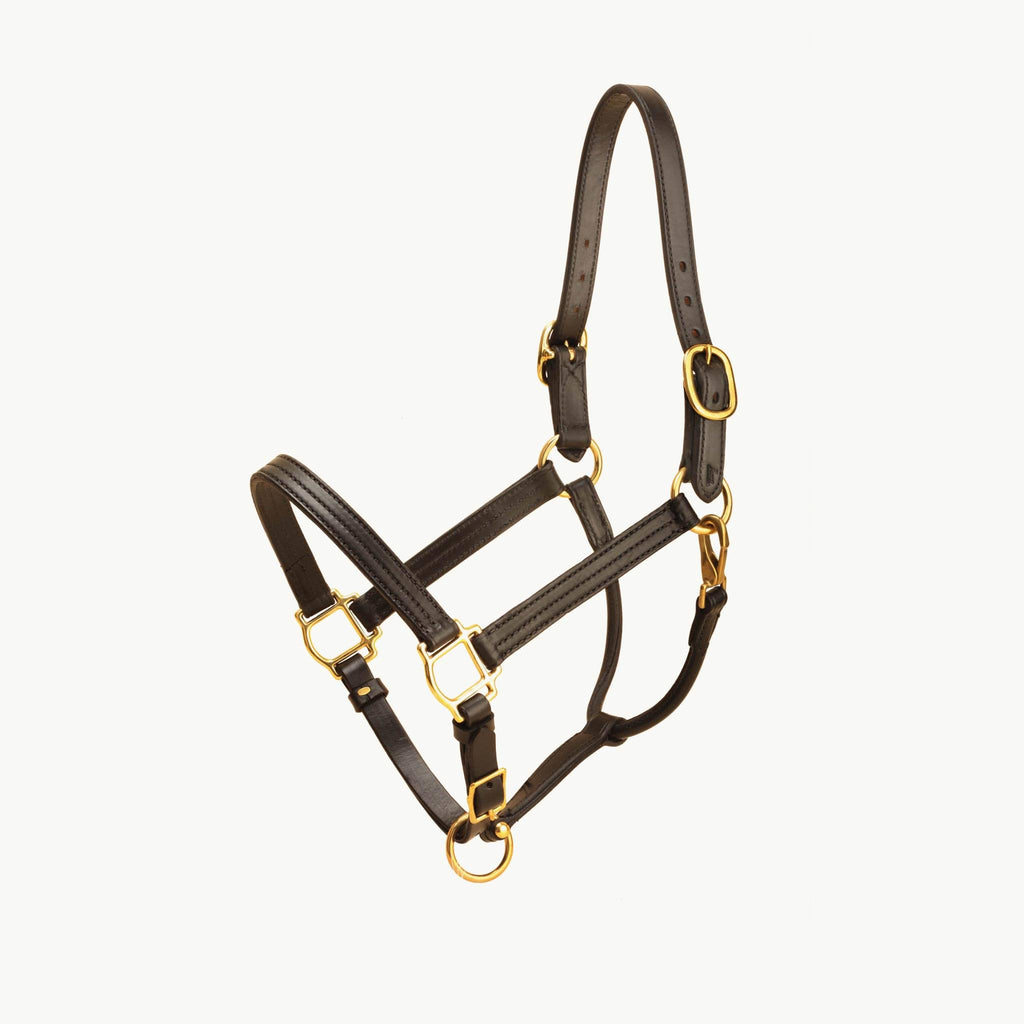 Havana Leather Halter with Snap R59430
