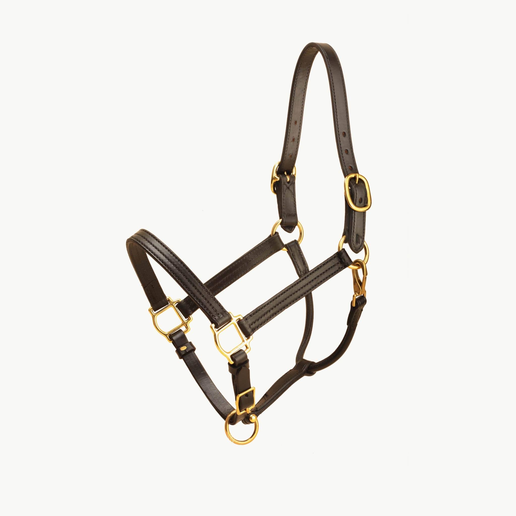 Havana Leather Halter with Snap R59430