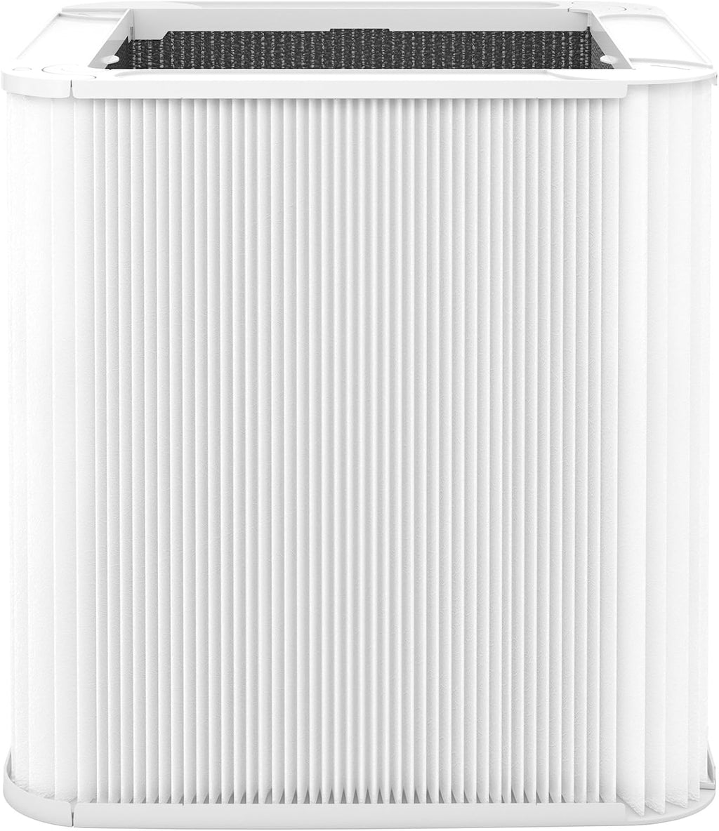 Particle and Activated Carbon Replacement Filter Pack of 2 P3402