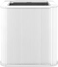 Particle and Activated Carbon Replacement Filter Pack of 2 P3402