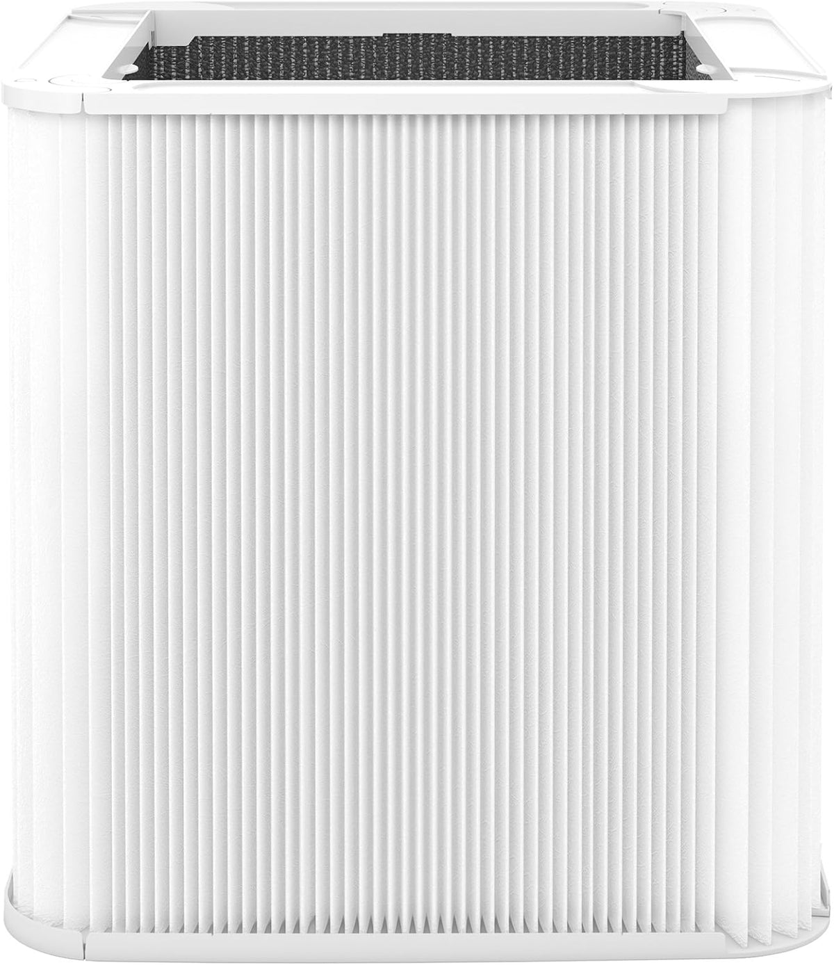 Particle and Activated Carbon Replacement Filter Pack of 2 P3402