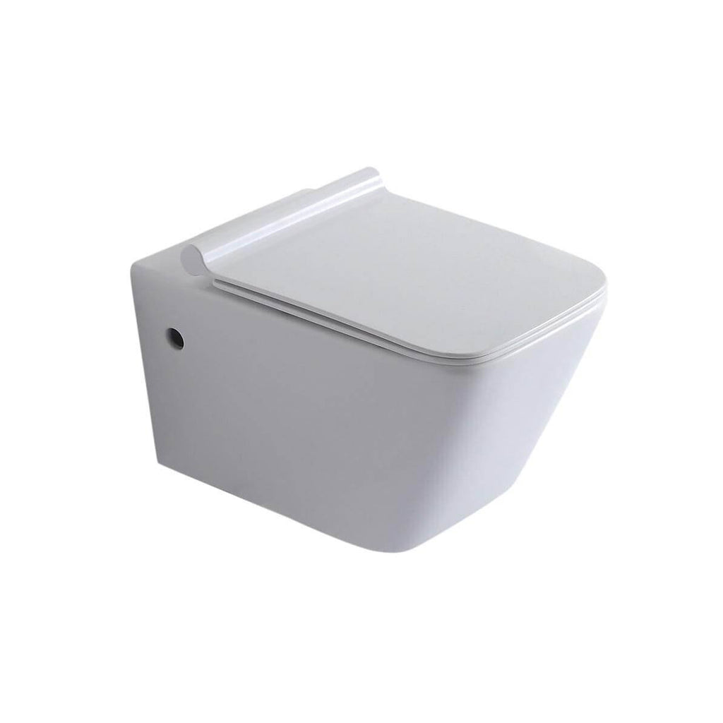 Wall Hung Toilet with Seat R76898