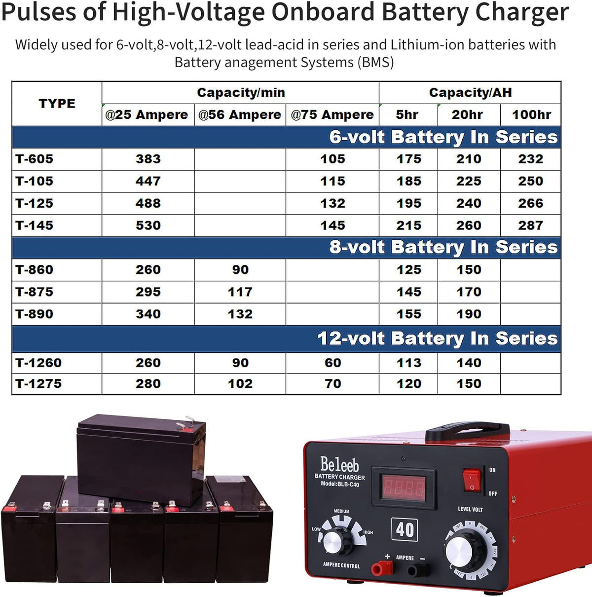 Adjustable Battery Charger 12V 24V 36V 48V 60V 72V Battery Desulfator Maintainer L891