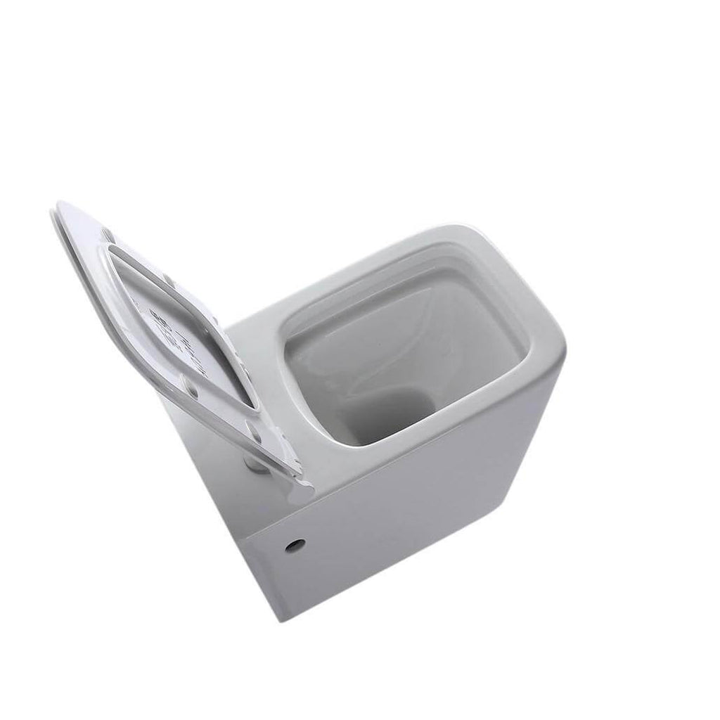Wall Hung Toilet with Seat R76898