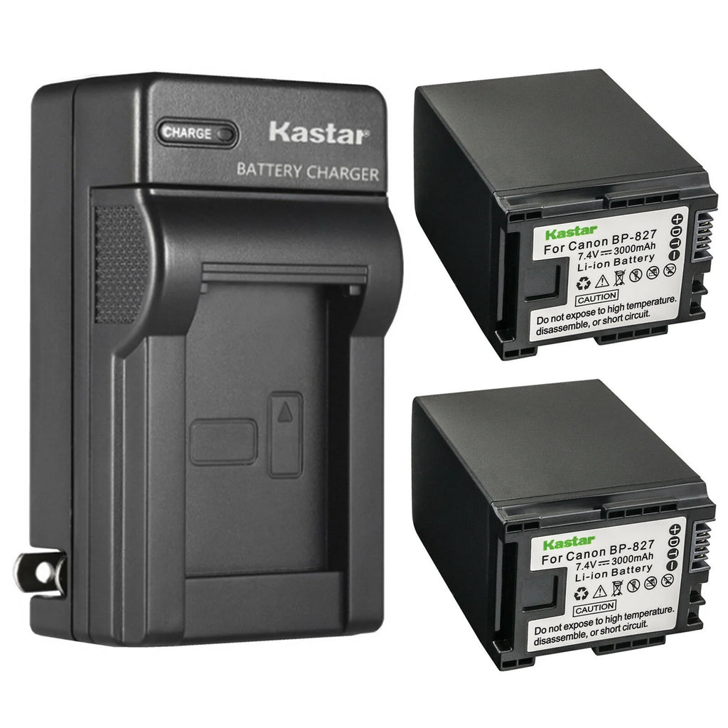 2-Pack Battery and AC Wall Charger J3276