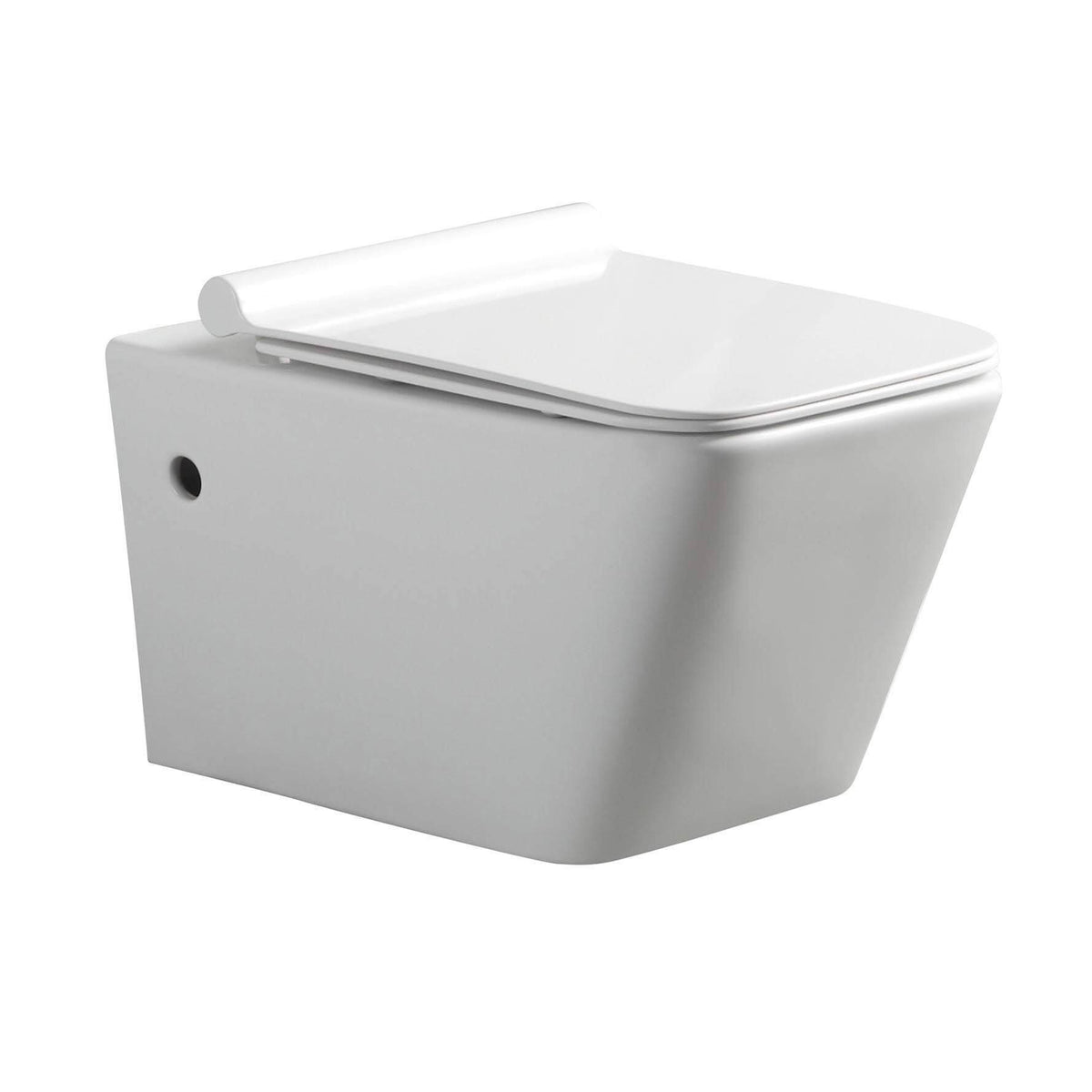 Wall Hung Toilet with Seat R76898