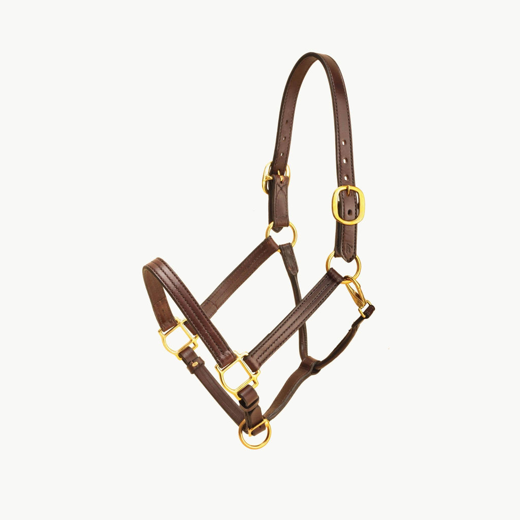 Havana Leather Halter with Snap R59430