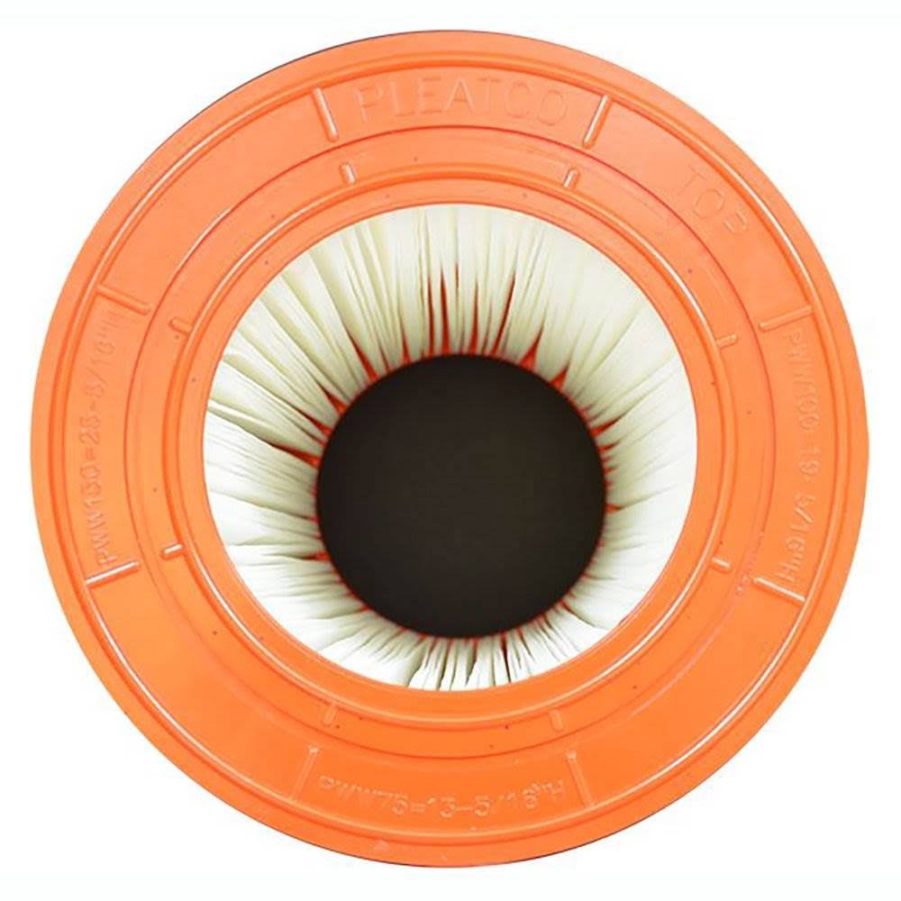 Replacement Cartridge for Pool 100 R73951