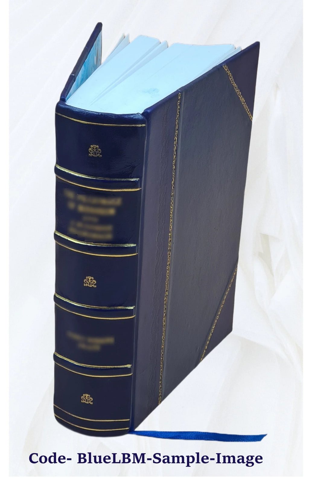 Leather Bound Book P917551