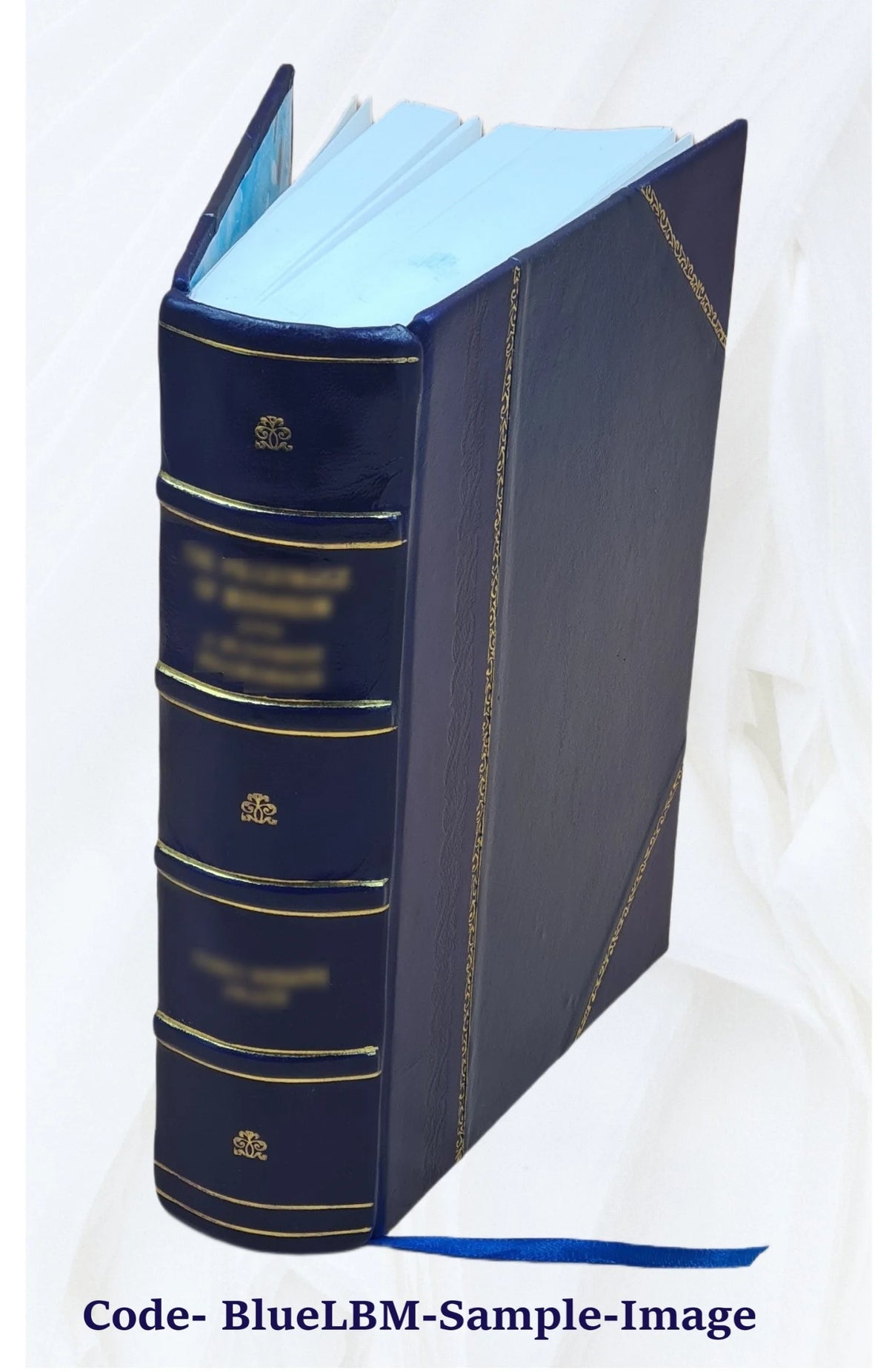 Leather Bound Book P917551