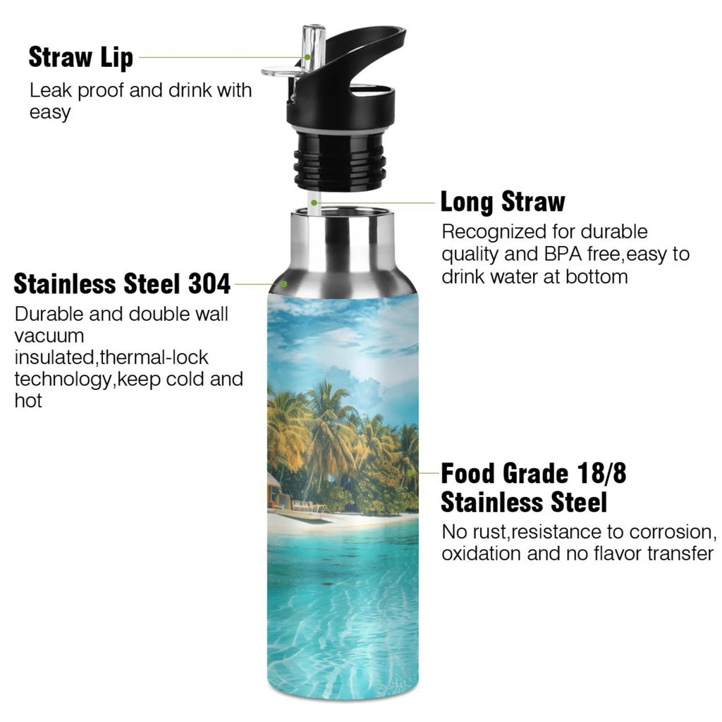 20 oz Insulated Stainless Steel Water Bottle with Straw Lid U468