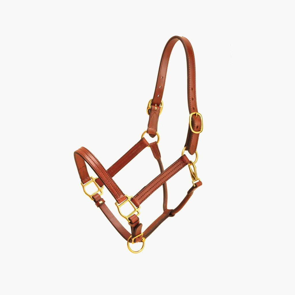 Havana Leather Halter with Snap R59430