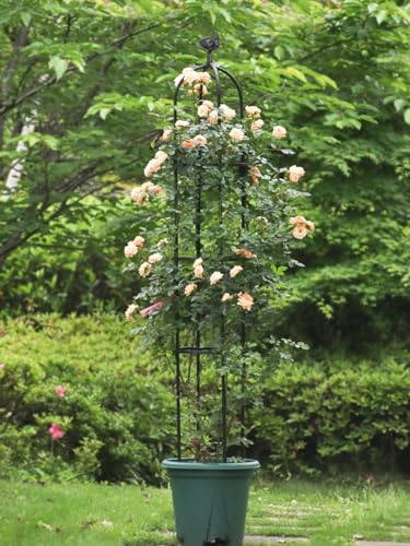 White Rustproof Metal Garden Trellis G723949