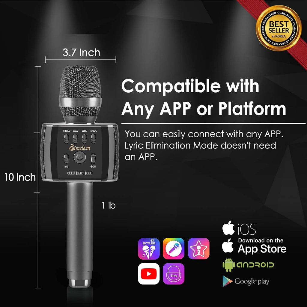 Bluetooth Karaoke Microphone with Speaker R4213