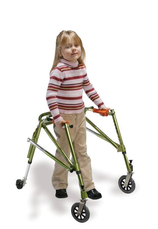 Posterior Posture Walker Q321446