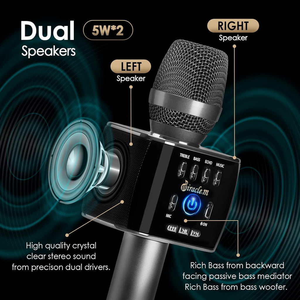 Bluetooth Karaoke Microphone with Speaker R4213