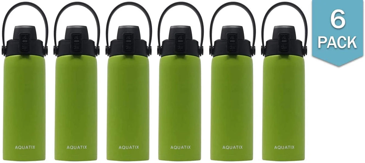 6-Pack Lime Green 21 Ounce Stainless Steel Double Wall Insulated Sports Water Bottle D70614