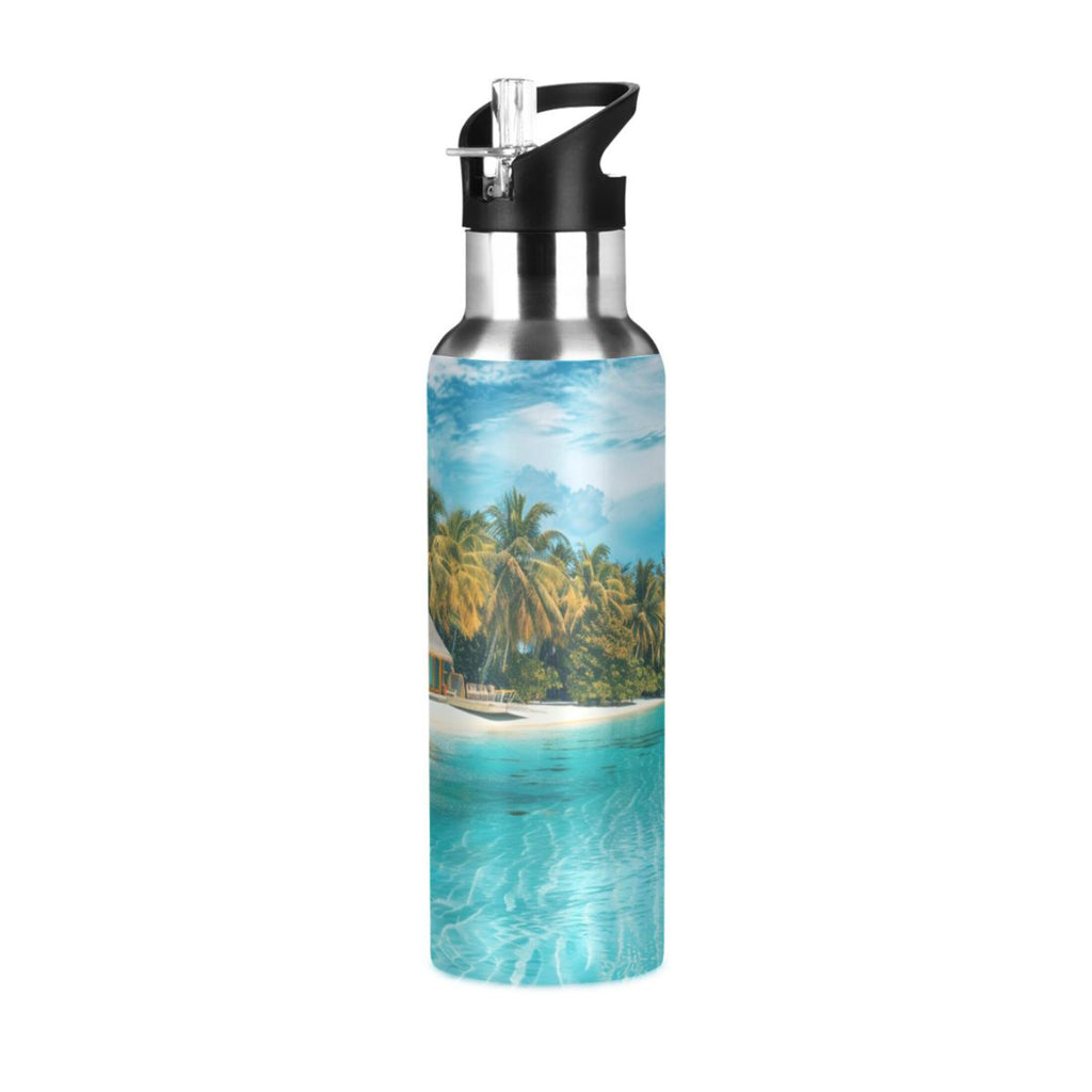 20 oz Insulated Stainless Steel Water Bottle with Straw Lid U468