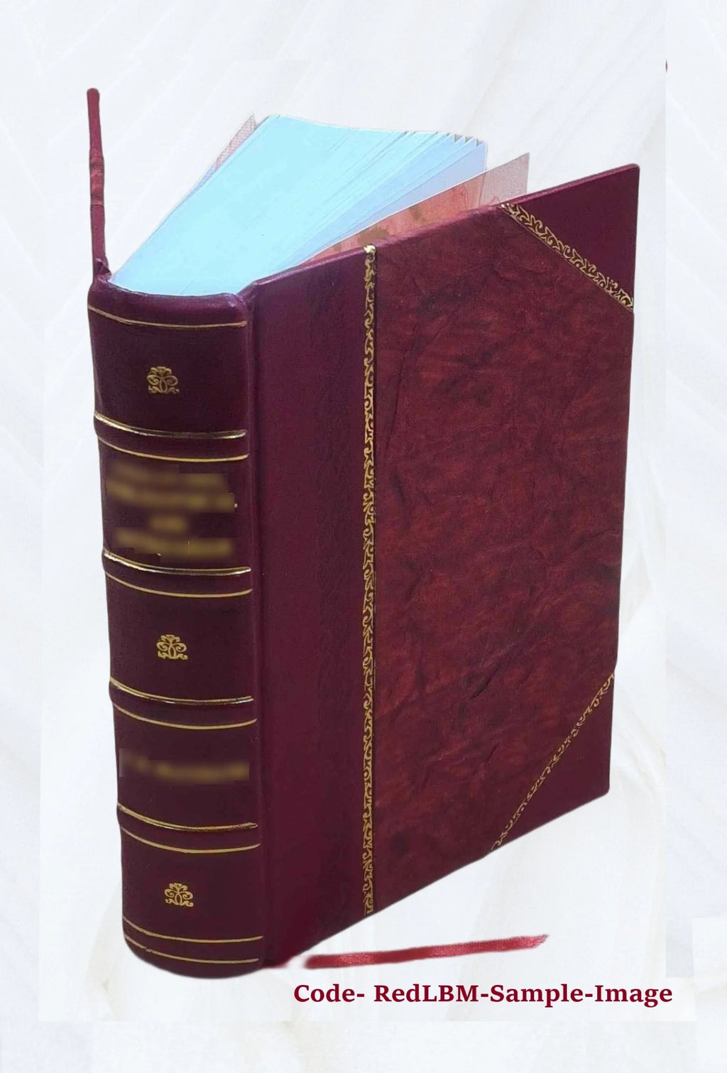 Leather Bound Book P917551