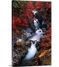 Photographic Print Canvas 24x22 H x 16x22 W x 1.5x22 D L520