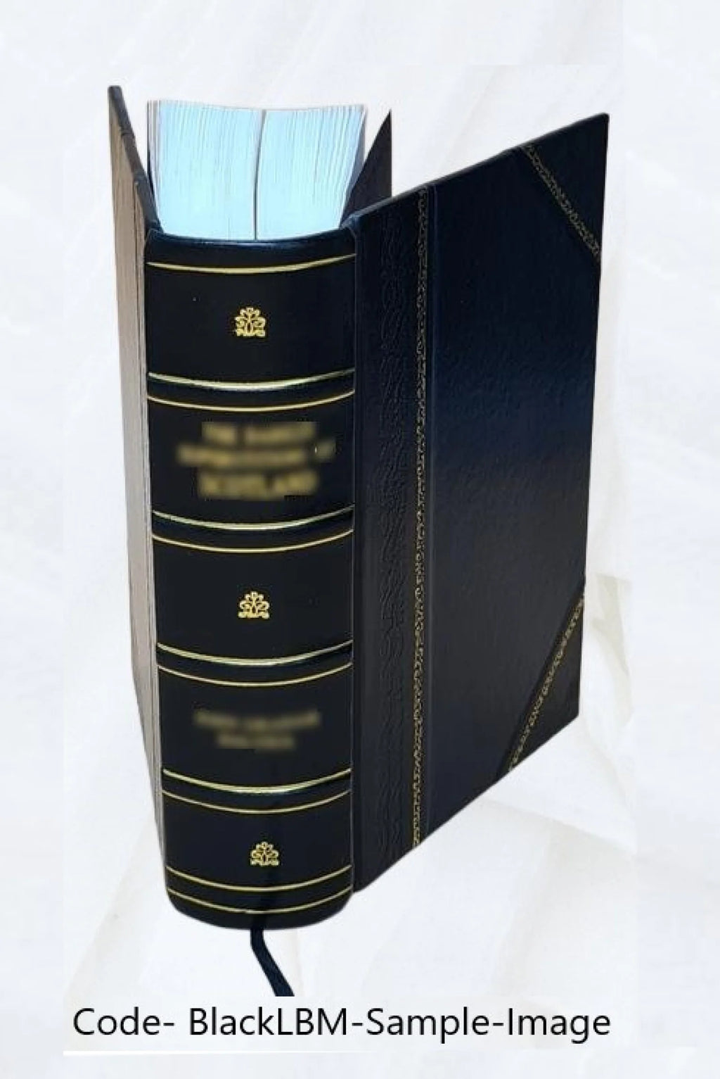 Leather Bound Book P917551