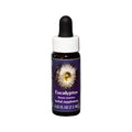 Eucalyptus Flower Essence 7.5ml Z9201