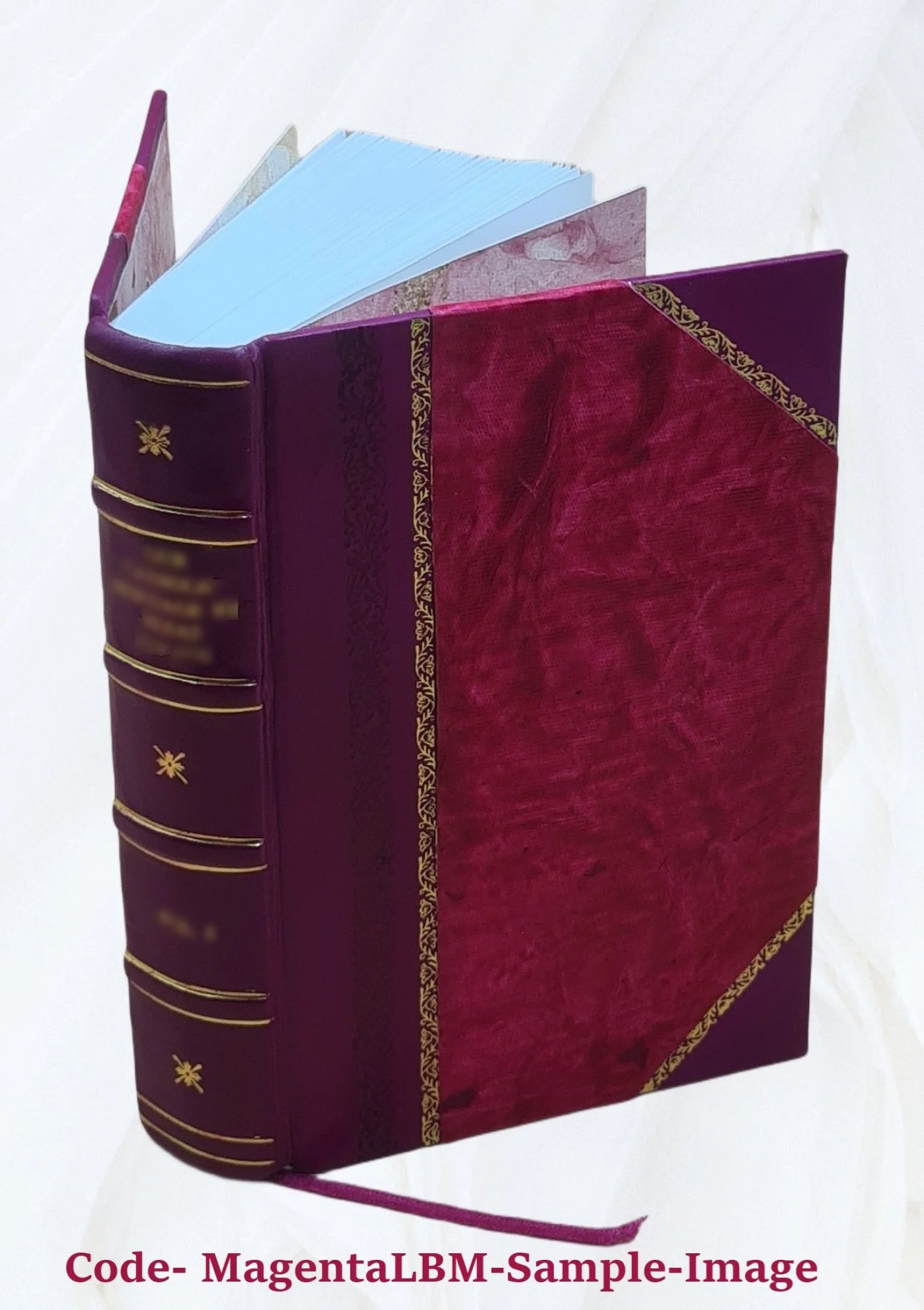 Leather Bound Book P917551
