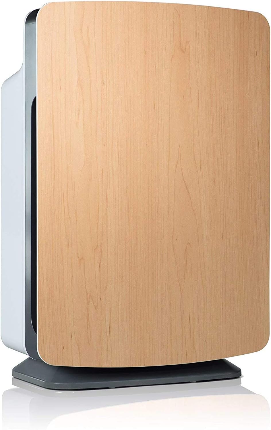 Large Room Air Purifier with H13 True HEPA Q730