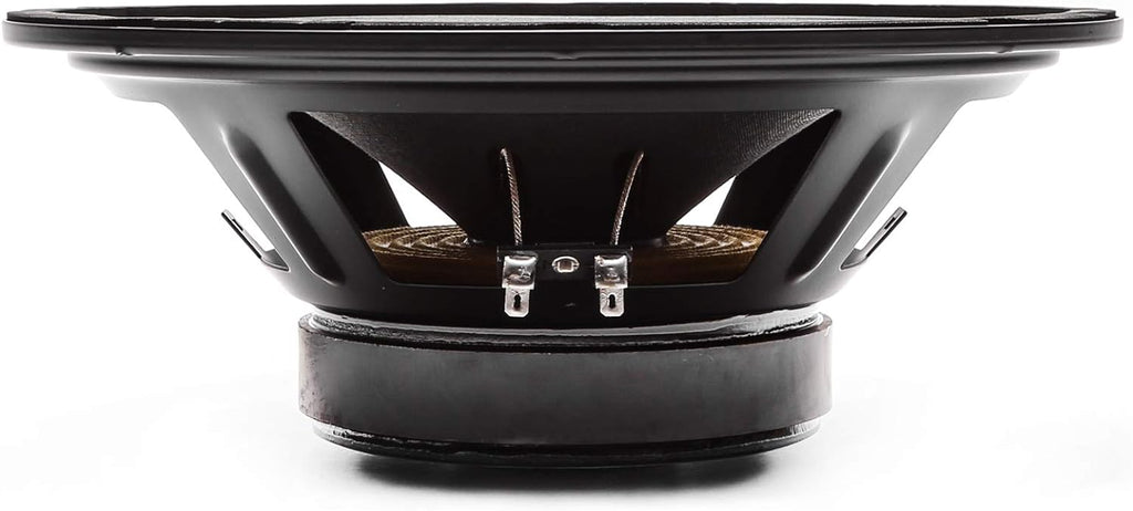 10" 300 Watt 8 Ohm Pro Audio Midrange Loudspeaker, Pack of 2 L52066
