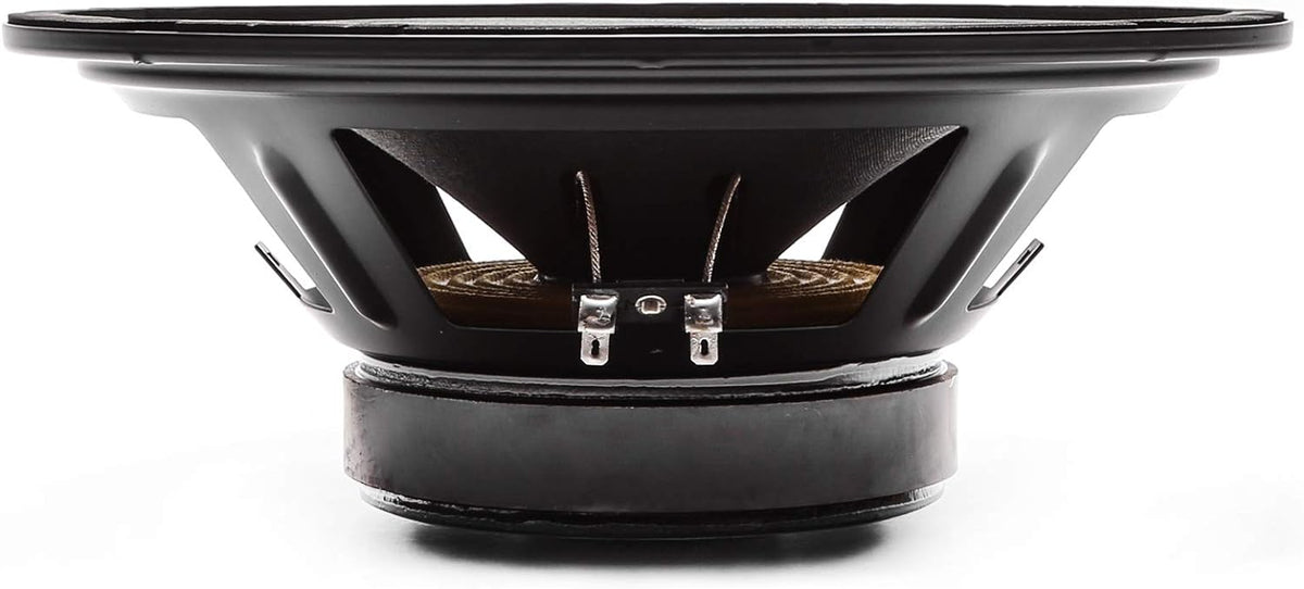 10" 300 Watt 8 Ohm Pro Audio Midrange Loudspeaker, Pack of 2 L52066