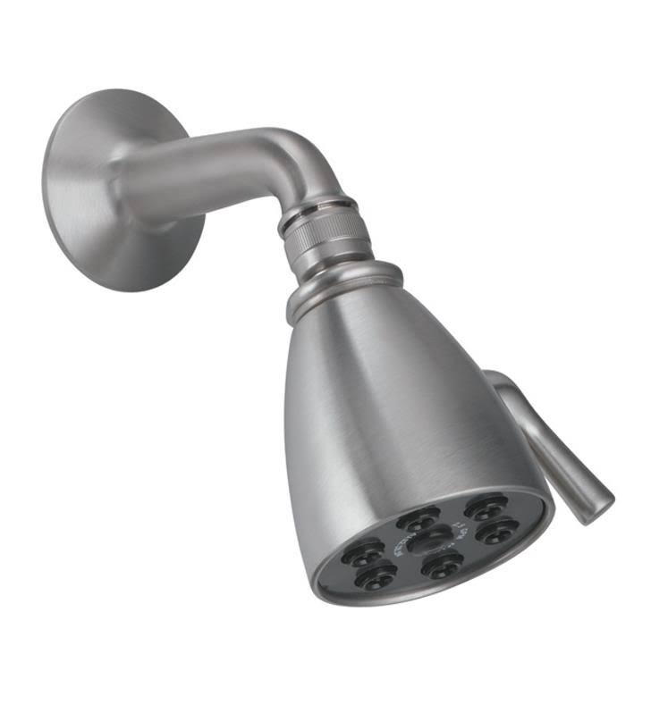 Polished Brass 6 Jet Showerhead Kit F729945
