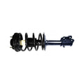 Strut Assembly C7236