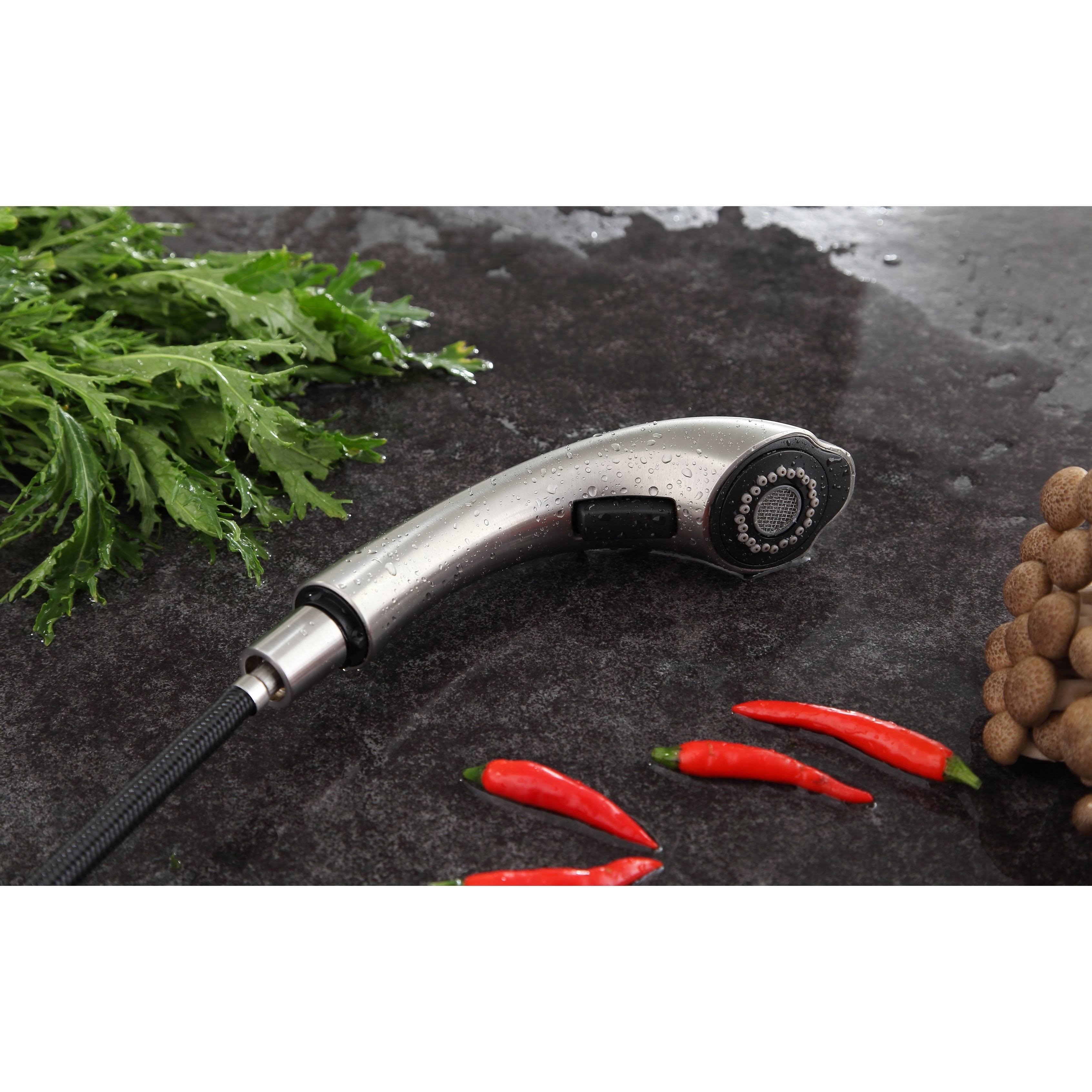 Brushed Nickel Single-Handle Pull-Out Sprayer Kitchen Faucet G36800